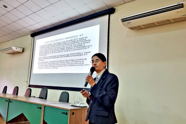 A professora Maria Brasil de Lourdes Silva (UFPA) ministrou palestra durante o seminário