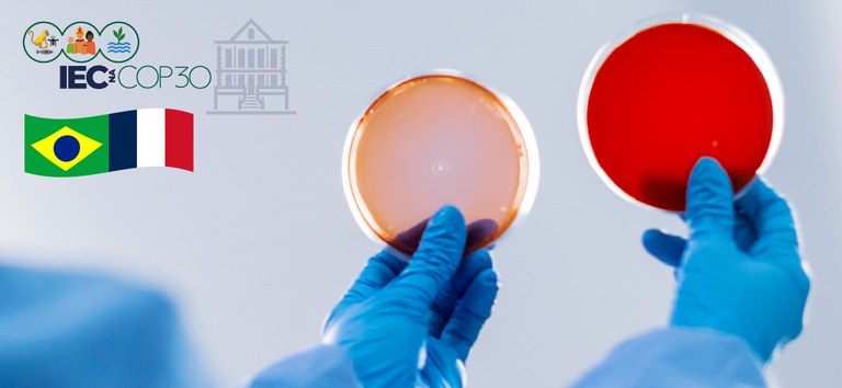 Brasil_França  aliança contra a resistência aos antimicrobianos_COP30_Prancheta 1.jpg