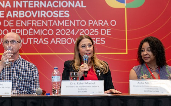 Secretária da SVSA, Ethel Maciel: “A ideia é produzir subsídios para a construção do plano de enfrentamento 2024/2025."