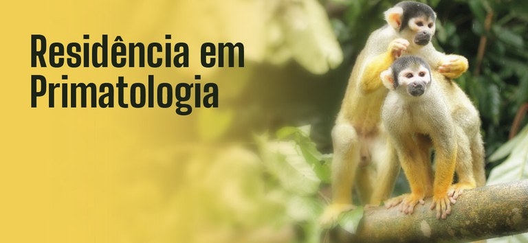 Residencia Primatas_STORIES_Prancheta 1.jpg