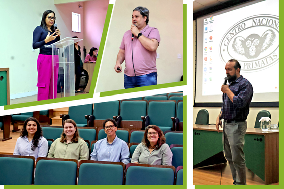 Pesquisadores do IEC falando ao microfone e sentadas em auditório durante evento no Centro Nacional de Primatas.