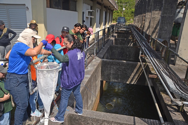 Alunos são incentivados a desenvolver um senso crítico entre meio ambiente e saúde pública