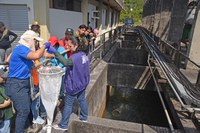 IEC incorpora módulo sobre meio ambiente no conteúdo do CTLAB