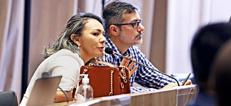 Pesquisadora Mirleide dos Santos fala ao microfone, gesticulando. Pesquisador Fernando Tavares ao lado observa. Ambos em mesa de evento.