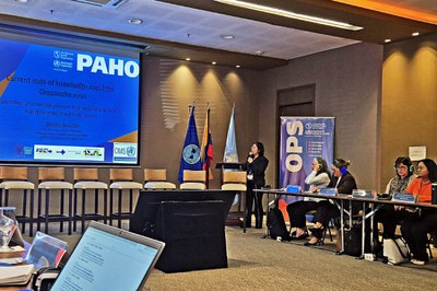 Socorro Azevedo, ministrando a palestra "evidências atuais sobre o vírus Oropouche"