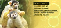 IEC e CENP abrem inscrições para o Programa de Residência em Medicina Veterinária