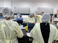 OPAS e IEC capacitam seis países da América do Sul e Caribe sobre vírus Oropouche