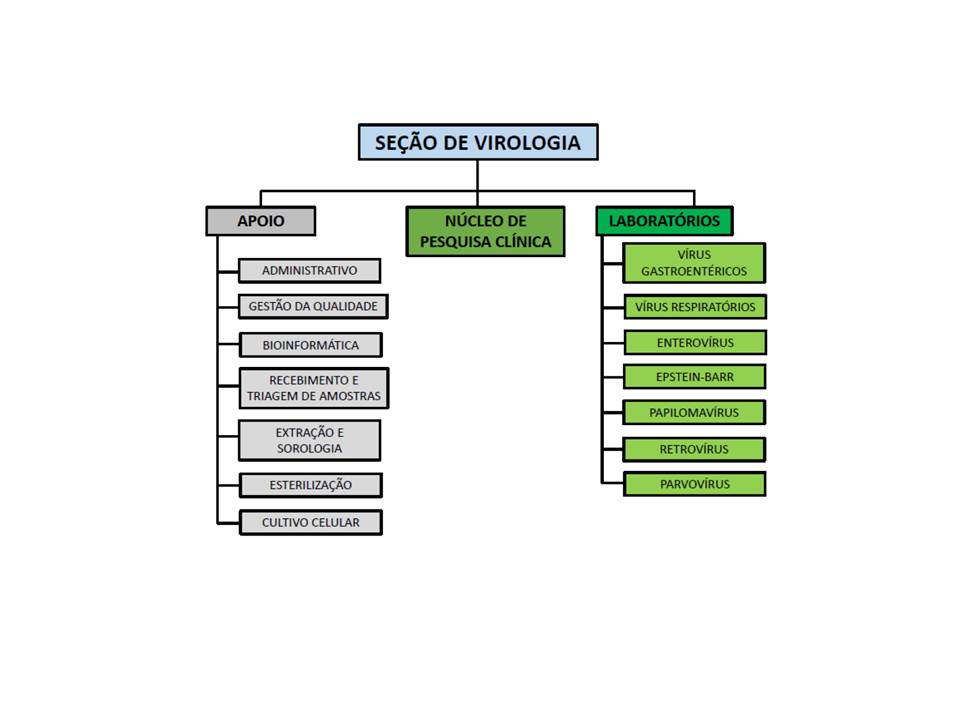 Organograma da seção