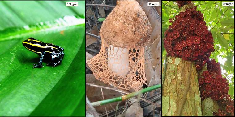 foto capa site cenp (10).png