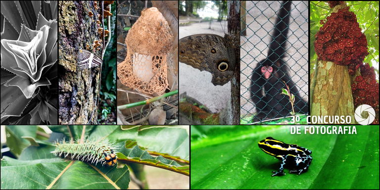 foto capa site cenp (12).png