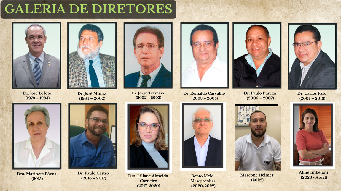 Galeria diretores