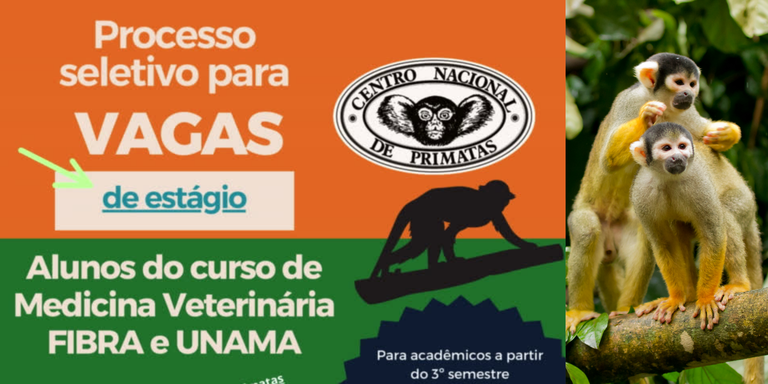 foto capa site cenp (6).png