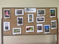 Centro Nacional de Primatas - 45 Anos