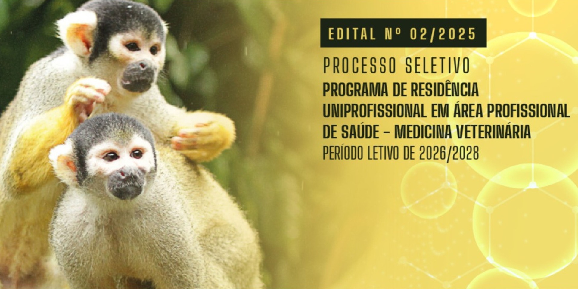 Edital de Seleção 02/2025