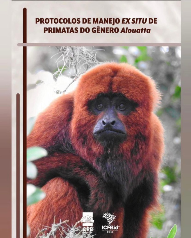 Protocolo Bugio