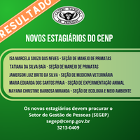 Seleção para vagas de estágio no CENP
