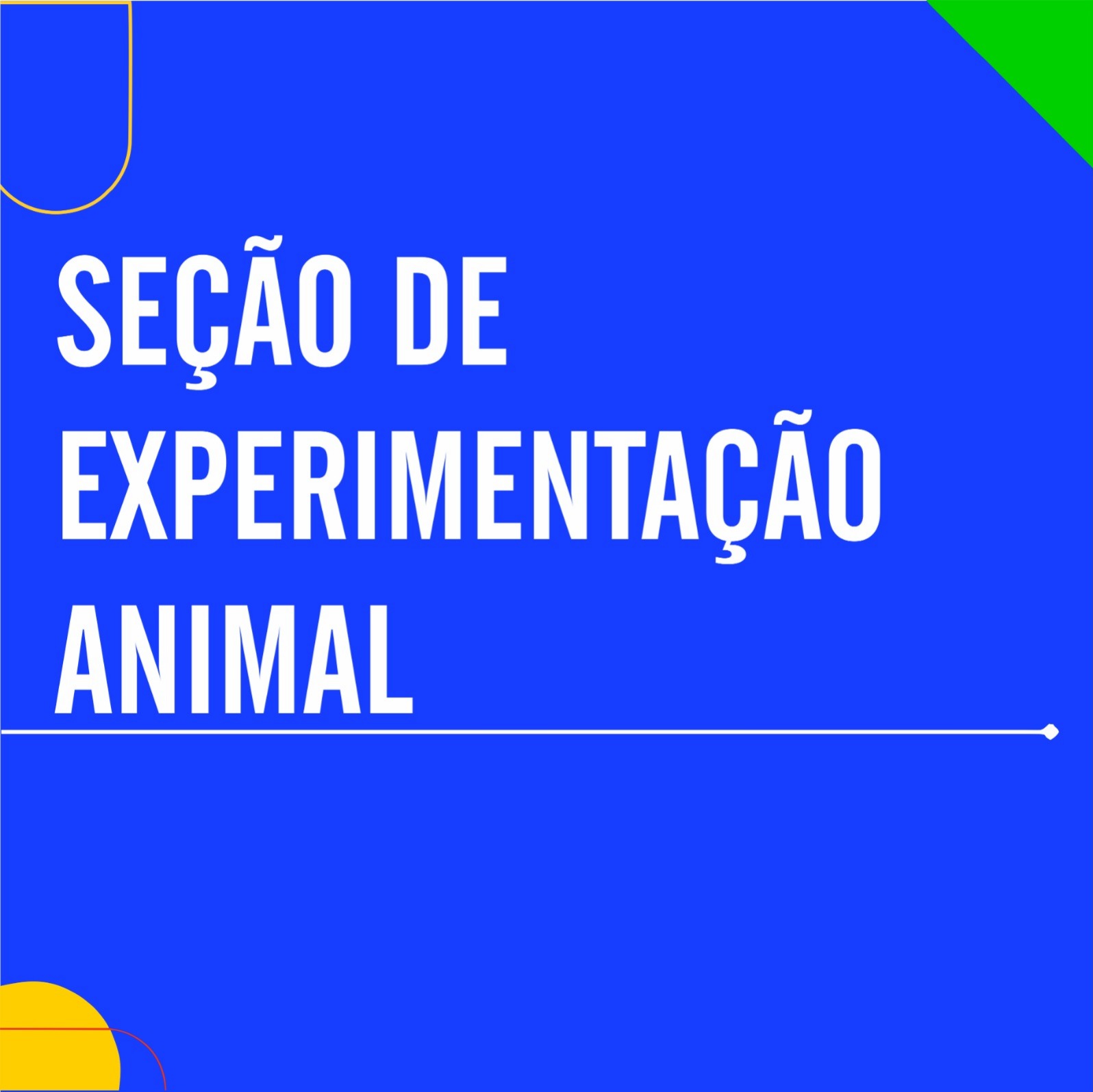 Seção de Experimentação Animal