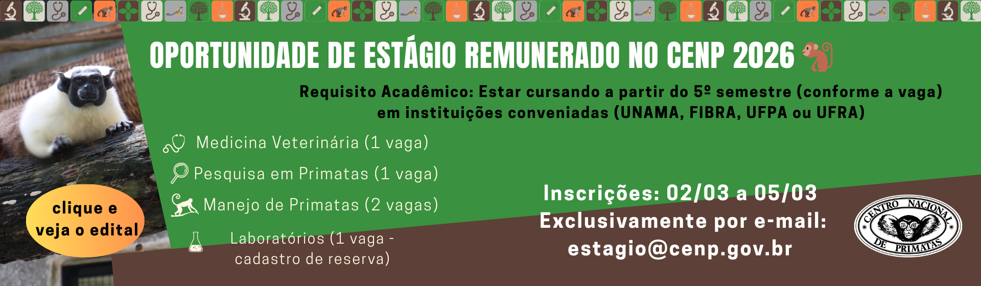 Estágios Acadêmicos
