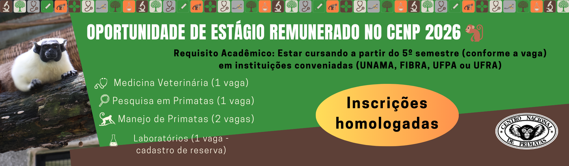 Estágios Acadêmicos