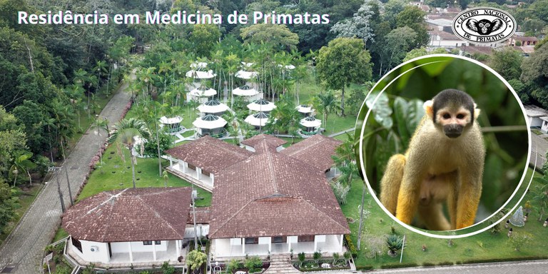 foto capa site cenp (1).jpg