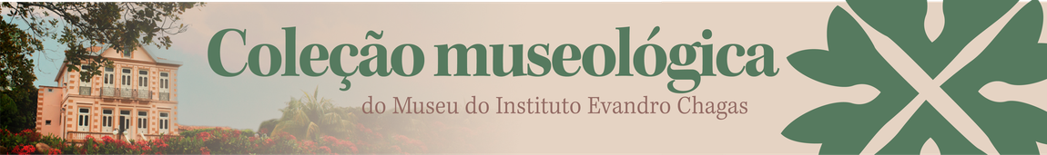 Banner sobre a COP 30, clique aqui