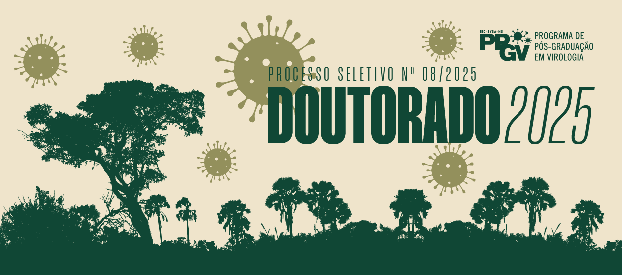 Serão ofertadas 11 vagas, com inscrições abertas a partir do dia 07/11