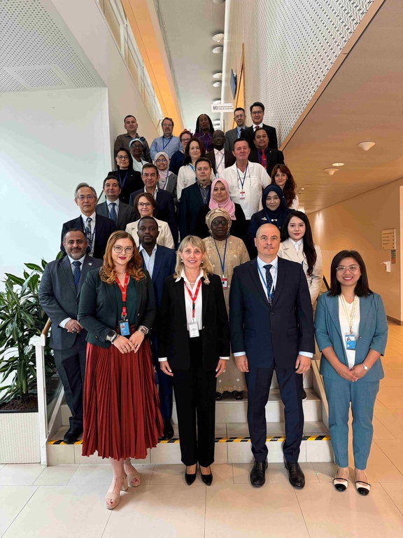 CNEN participa de reunião na AIEA sobre redes educacionais e cooperação internacional