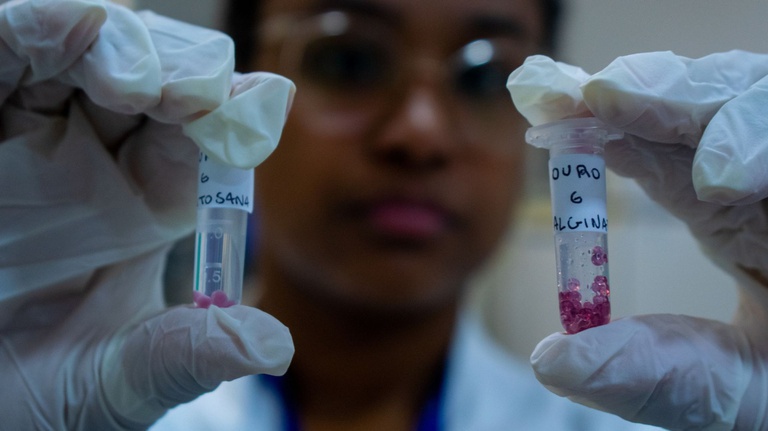 Samara Mendes segurando nanopartículas de ouro