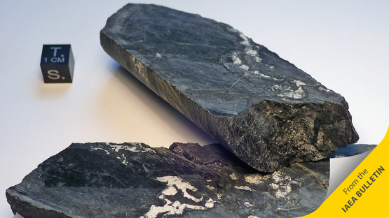 Amostra do minério de urânio proveniente de Oklo. O urânio presente neste minério tem a peculiaridade de conter apenas 0,717% de urânio-235, em vez do normal, 0,720%, que seria esperado no período atual. Foto: Ludovic Ferrière