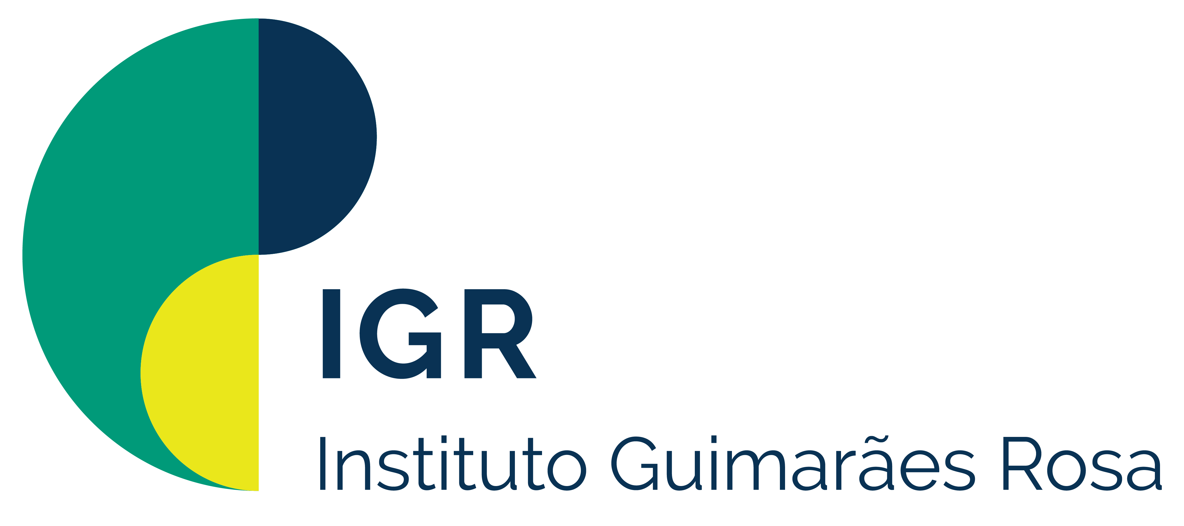 Logo IGR v1 horizontal cores.png