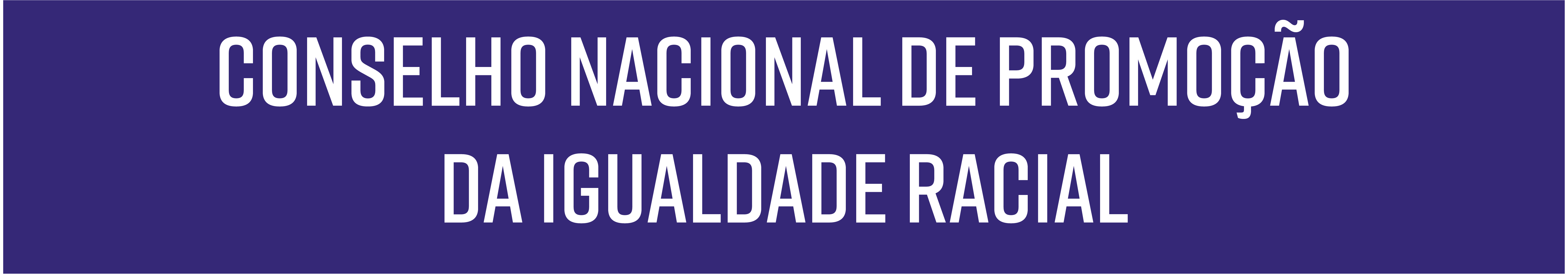Banner Conselho Nacional de Promoção da Igualdade Racial
