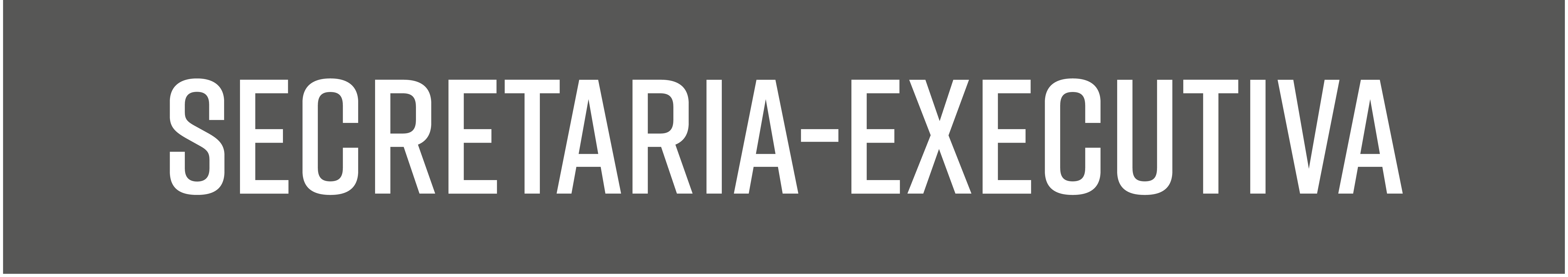 Banner Secretaria Executiva