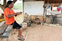 Governo do Brasil abre inscrições para o Comitê Nacional de Enfrentamento ao Racismo Ambiental e Climático