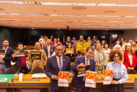 MIR debate inclusão de diretrizes para uma educação antirracista no novo Plano Nacional de Educação