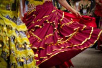 MIR divulga lista de representantes para o Comitê Gestor do Plano Nacional de Políticas para Povos Ciganos - Biênio 2025-2027