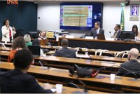 MIR reforça importância do Fundo Nacional de Igualdade Racial em audiência pública na Câmara dos Deputados