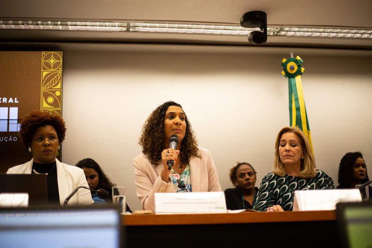 ministra anielle franco em audiência na câmara dos deputados