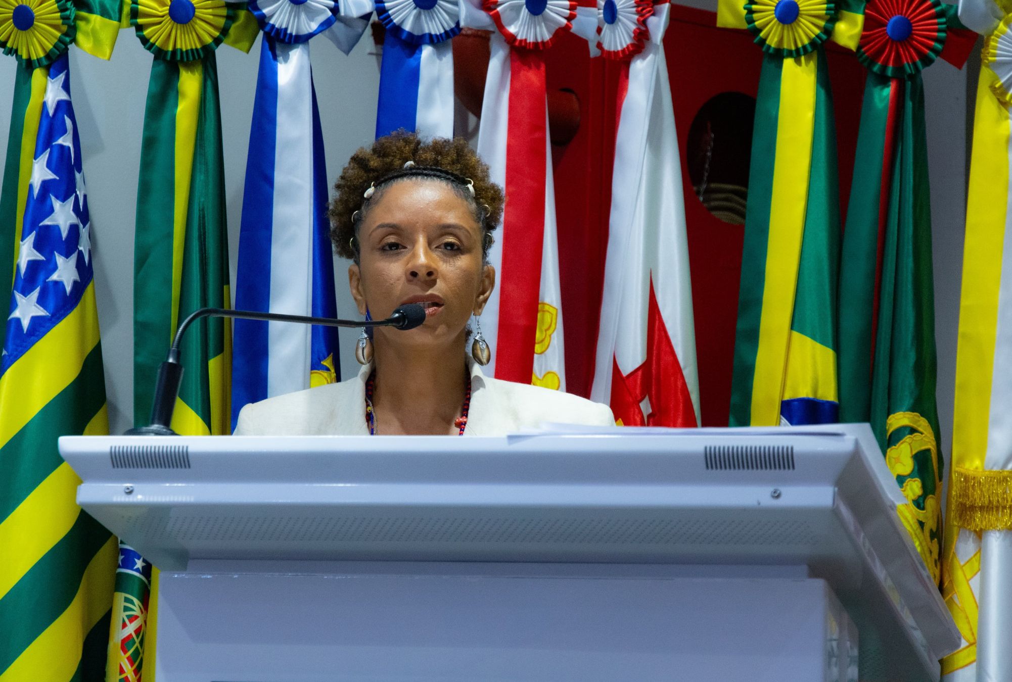 Gestora do Ministério destacou continuidade das políticas de promoção da igualdade racial e o papel histórico dos movimentos negros na construção dessas agendas