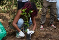 Inscrições para Comitê de Enfrentamento ao Racismo Ambiental e Climático são prorrogadas