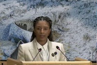 Ministra Rachel Barros destaca avanços do Brasil na abertura do V Fórum Permanente dos Afrodescendentes da ONU