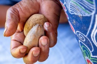 MIR, MDA e MMA divulgam resultado preliminar da lista de organizações selecionadas para compor o Comitê Gestor da PNGTAQ