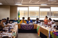 MIR recebe representantes da sociedade civil e do governo para a 92ª Reunião do CNPIR, em Brasília