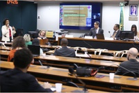 MIR reforça importância do Fundo Nacional de Igualdade Racial em audiência pública na Câmara dos Deputados