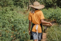 Organizações da sociedade civil têm até 31 de julho para se inscrever no Prêmio Brasil que Alimenta