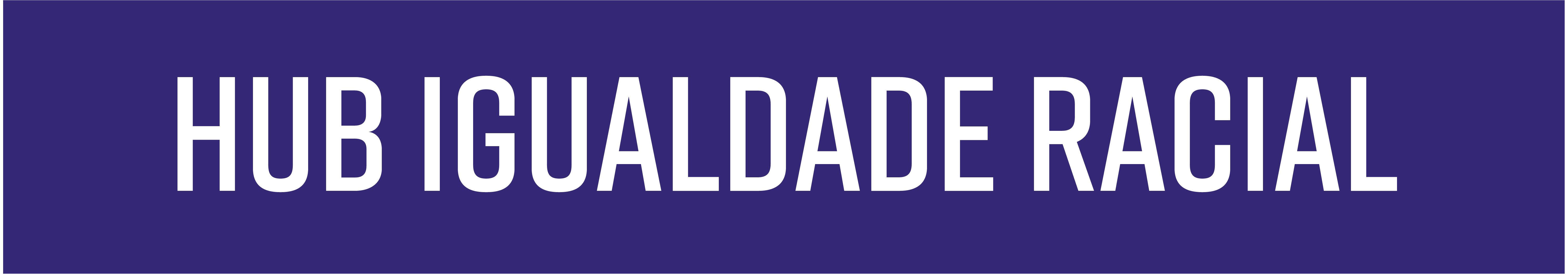 Banner HUB da Igualdade Racial