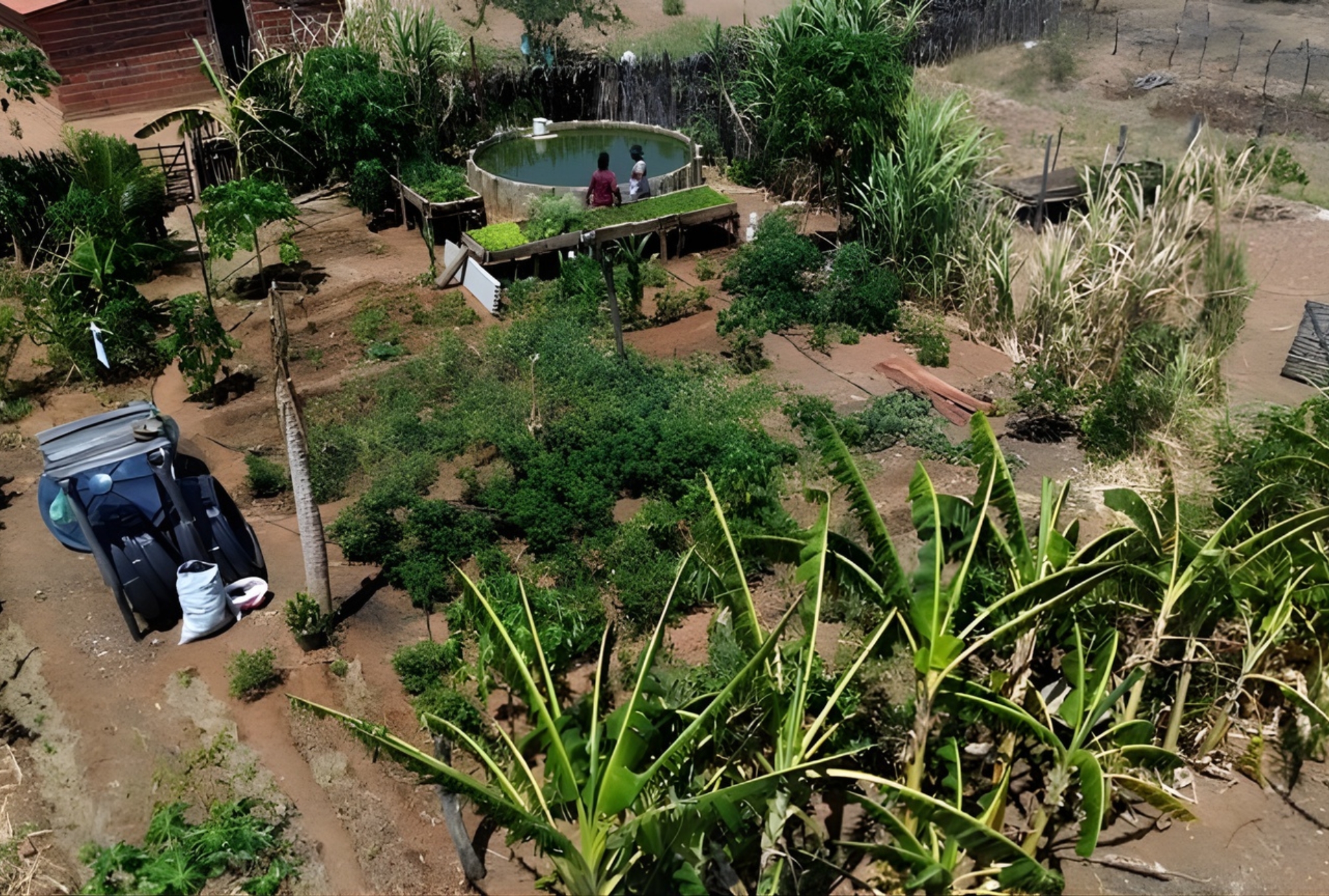 MIR destaca a força quilombola no Dia Nacional da Economia Solidária