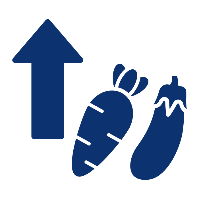 Como aumentar o consumo de fibras na sua alimentação