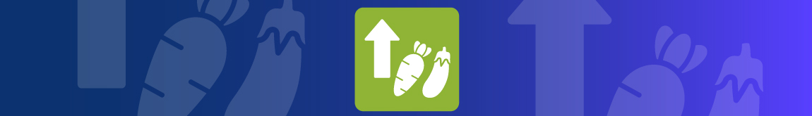 Como aumentar o consumo de fibras na sua alimentação