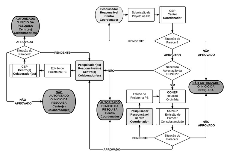 Fluxo estudos multicêntricos