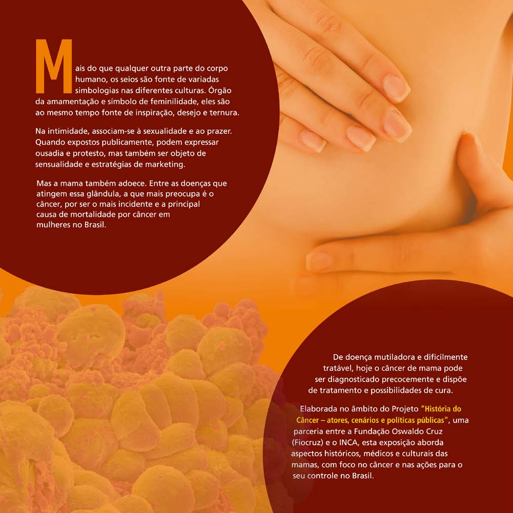 A exposição aborda aspectos históricos, médicos e culturais das mamas, com foco no câncer e nas ações para o seu controle no Brasil.